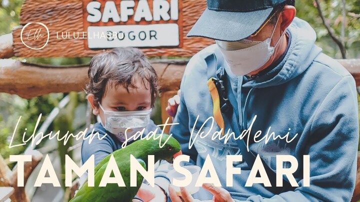 TAMAN SAFARI SAAT PANDEMI 2021 | HEBOH KASIH MAKAN BINATANG