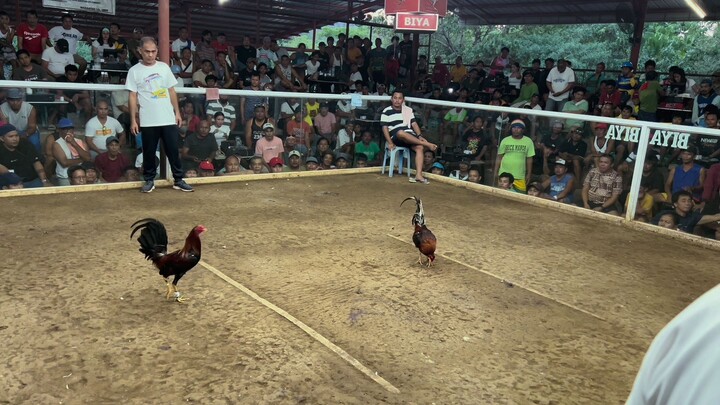 LUNAO COCKPIT ARENA (2WINS) SCORE 0-1 2nd Fyt Duke Hulsey Lemon/Perfection Roundhead