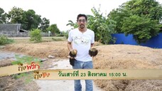 ถึงพริกถึงขิง 'ตั๊ก นภัสรัญจน์' ไปทำความรู้จักกับเมนู "จาวตาล" วันเสาร์ที่ 23 ส.ค. เวลา 15.05 น.
