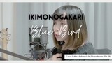 【Naya Yuria】Ikimonogakari - Blue Bird「OST Naruto Shippuuden」Indonesian Lyrics