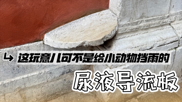 从威尼斯的尿液导流板讲起，说说歪果人的厕所文化