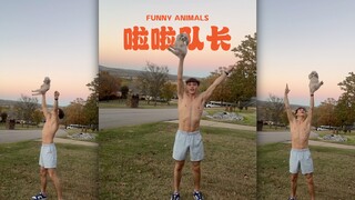 呜呜呜，这辈子看到小狗当啦啦队长啦💗