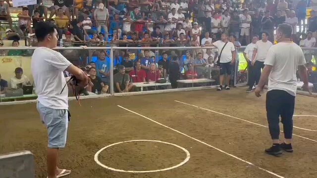 5stag Mendez 1st fyt Win   PSS PITOGO GF