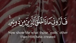 This is Allah Creation
