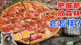 If you leave a pizza with meat and vegetables in the woods, will little animals come to eat it?