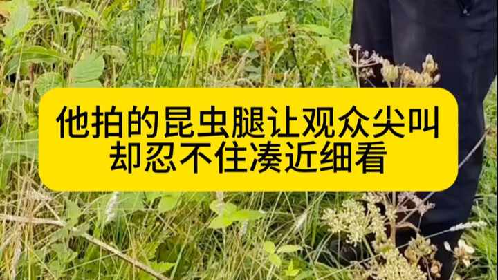 他拍的昆虫腿让观众尖叫，却忍不住凑近细看