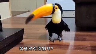 After Big Mouth followed the keeper home, he stumbled upon the keeper's earth-shattering secret! He 