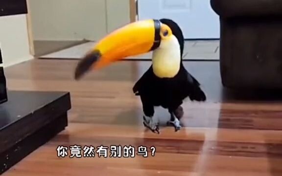 After Big Mouth followed the keeper home, he stumbled upon the keeper's earth-shattering secret! He 