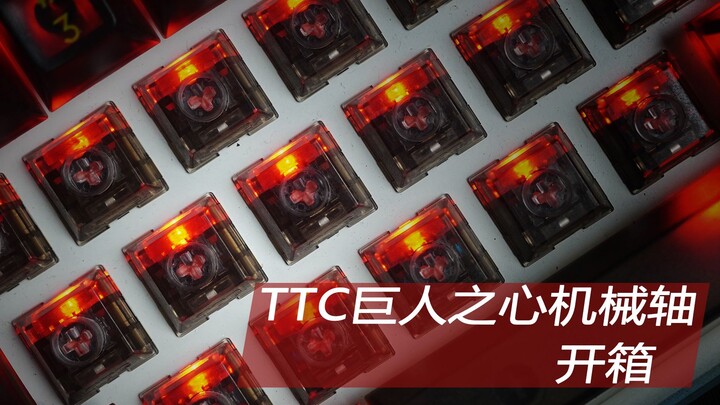 更快触发 TTC巨人之心机械轴体开箱