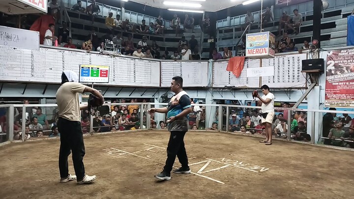 Talaba New CockPit 2nd fights loss MAY 6,2024 🐓🐓