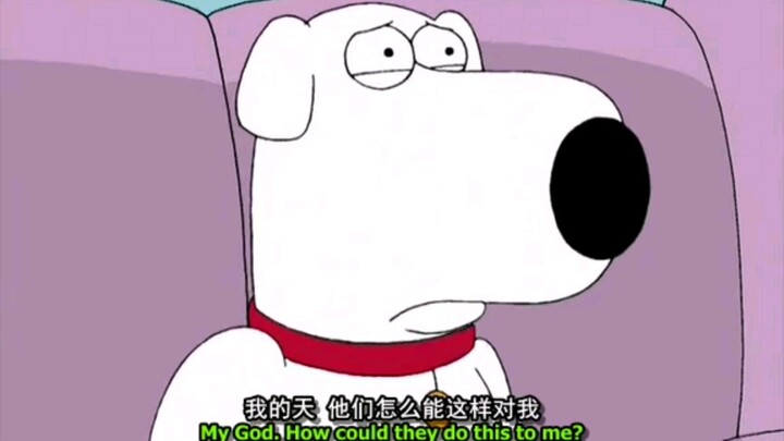 Brian：当然是选择原谅💚她啊!