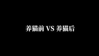 养猫前vs养猫后（一）