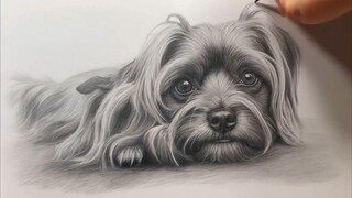 Sebastian Biel - My Dog's Nightmare (Official Music Video)