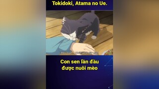 Đáng iu <3 cmtv cuumongtienvuc cuumong itap vplay bestanime888 anime animetiktok animeedit fyp fypシ