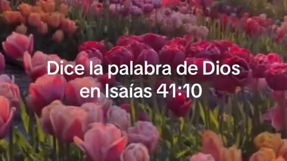 Dios Te Está Hablando