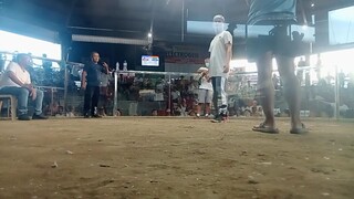 konam backyard GCA