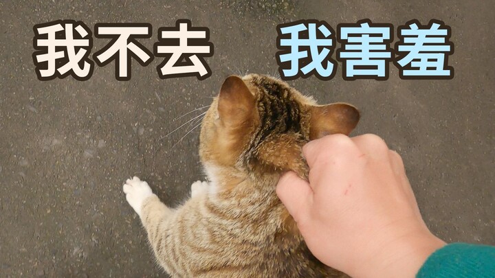 Không kéo bạn đi thì bạn còn chẳng tìm được người yêu luôn đấy