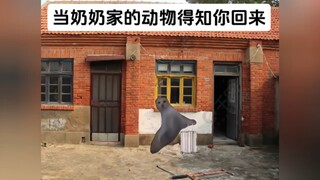【小C祖】视频已打包，欢迎围观！