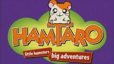 Hamtaro Episode 01 Hamtaro