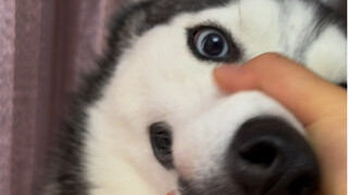 Yang utama adalah mendidik anak dengan tongkat, khusus untuk mengatasi segala ketidakpatuhan