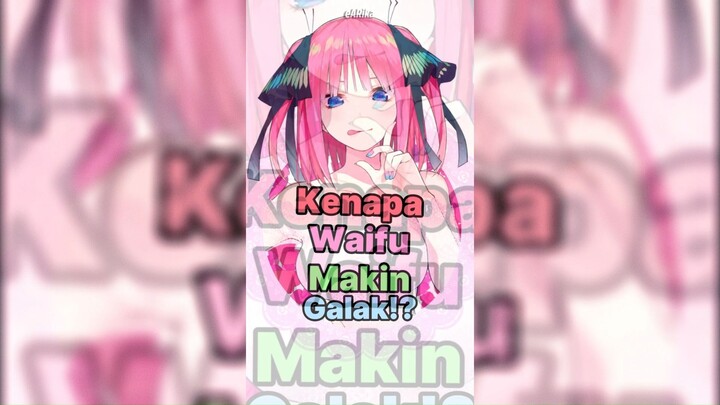 Kenapa waifu makin galak? | Bro malah ganti gender!