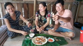Ghẹ Tươi Luộc Nước Dừa Chấm Muối Ớt Siêu Cay Ăn Cùng Mẹ Vợ Thật Vui| TKQ T274