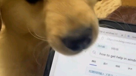 I told you not to play with me!