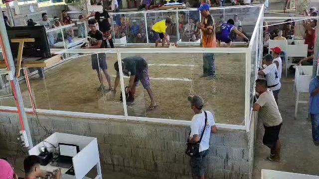 #my griffin claret 4x for the last fyt win in binalan cockpit, salamat sa panalo🐔😇