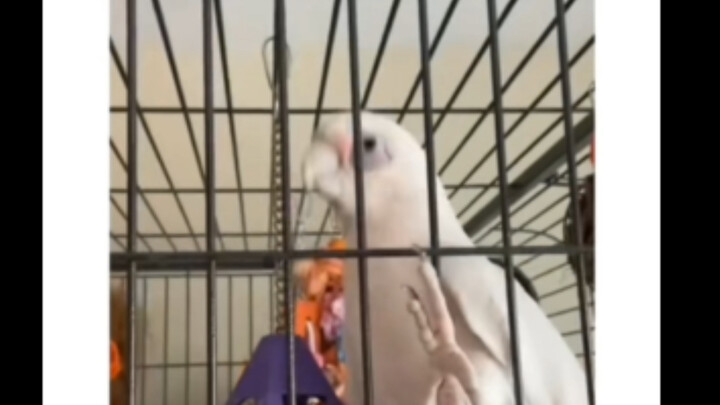 I lost focus the moment he started turning his head.