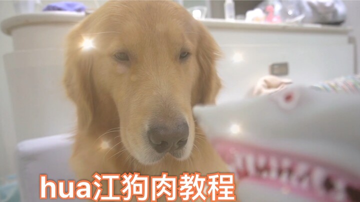 The dog meat that I had happily prepared was snatched away!