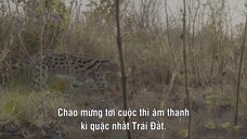 Âm Thanh Của Trái Đất - Earthsounds EP 05 [Sub Việt]
