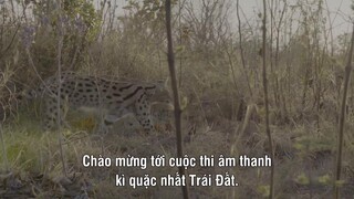 Âm Thanh Của Trái Đất - Earthsounds EP 05 [Sub Việt]