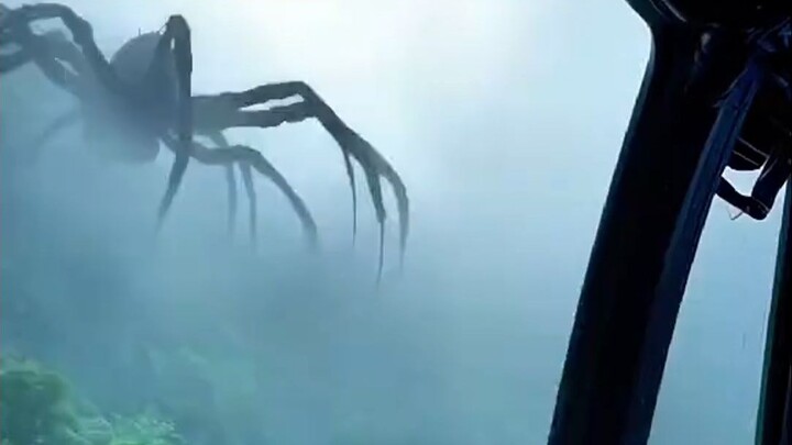 A treat for those with a fear of giant creatures!