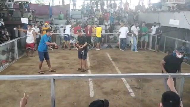 ang erpat kong kilalang kilala sa sabungan 📌carlo yamson pandemic era