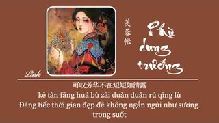 [Vietsub] Phù Dung Trướng • Hoa Đồng ♪ 芙蓉帐 • 花僮