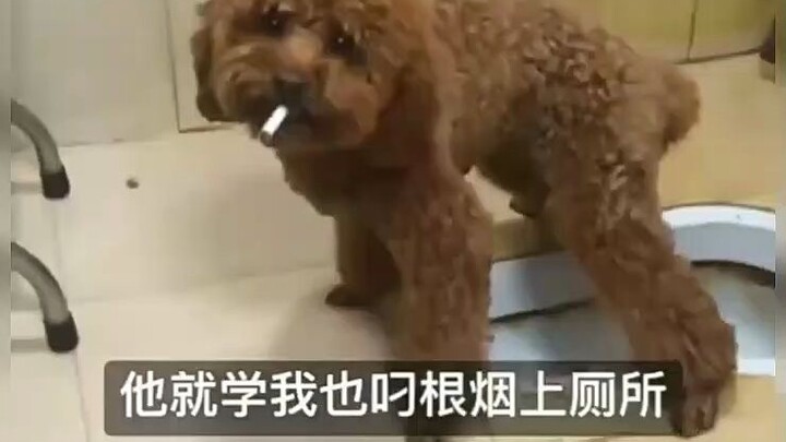 What are you standing around for? Light it up for Big Bro!