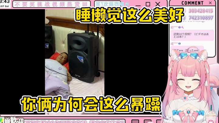 日本猫巫女看疯狂小杨哥《睡懒觉这么美好，你俩为何会这么暴躁》