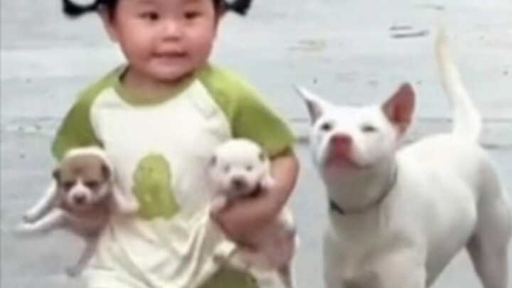 “Ternyata memang usia yang dibenci oleh kucing dan anjing!”