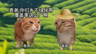 当城巴佬来到乡村