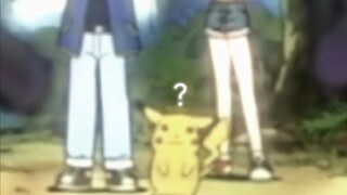 Pikachu: Bây giờ tôi muốn phóng điện vào một con chó hoang thật sự