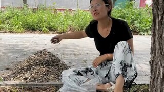 坐着聊一上午了，我瓜子都快吃完了