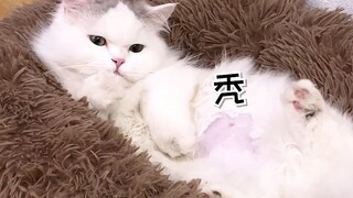 Xiao Fudie has a tumor