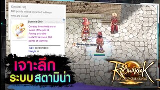 ทุกเรื่องที่ต้องรู้เกี่ยวกับระบบ Stamina ไม่รู้ไม่ได้!
