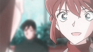 In order to hide the news that Shinichi was not dead, Haibara Ai secretly modified the file.