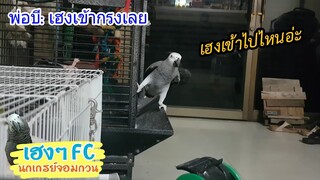 EP.180 ไล่เข้ากรงก็ไม่ยอมเข้า ถึงคิวฮักออกบ้างนะพี่เฮง