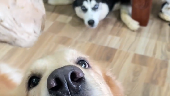 The last time I was this anxious was… last time.