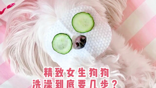 精致女生的狗狗洗澡到底要几步？