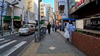 【Shibuya Walk】2025 Coming of Age Day Celebration! Pedestrian Paradise & Mochitsu