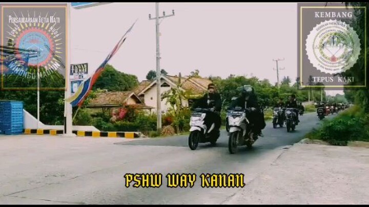 PSHW-TM cabang Waykanan Lampung turun jalan di Oku timur Sumsel