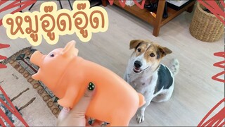 โลกของแสนดี ตอน ของขวัญสำหรับนางฟ้า